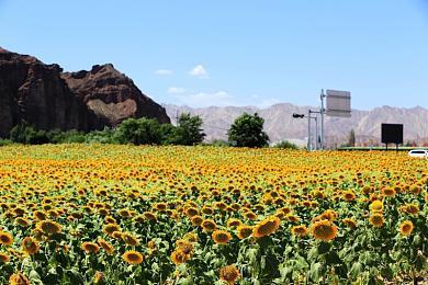 Gearbox宣布收购《小缇娜的奇幻之地》辅助开发商Lost Boys Interactive